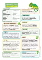Vorschau - Arbeitsblätter - Chamäleon Sparpaket / Materialpaket - mit Lesetext, Steckbrief, Lückentext, Suchsel, Satzpaare, Quiz und Ausmalbildern - Seite 1