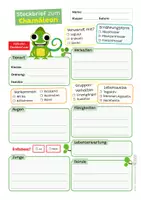 Vorschau - Arbeitsblätter - Chamäleon Sparpaket / Materialpaket - mit Lesetext, Steckbrief, Lückentext, Suchsel, Satzpaare, Quiz und Ausmalbildern - Seite 2