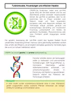 Vorschau - Arbeitsblätter - CRISPR-Cas: Genschere erklärt - Gen-Editing, Gentechnik - Seite 2