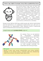 Vorschau - Arbeitsblätter - Gentechnik Ethikunterricht: Designer-Babys & Gen-Editing - Seite 2