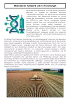 Vorschau - Arbeitsblätter - Gentechnik in der Landwirtschaft: CRISPR & Pflanzen Züchtung - Seite 2