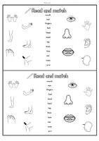 Vorschau - Arbeitsblätter - Body: Activity Booklet (Englisch Grundschule) - Seite 3