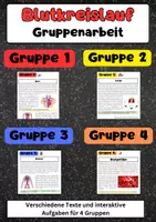 Vorschau - Arbeitsblätter - Blutkreislauf Gruppenarbeit: Herz, Lunge, Körper, Blutgefäße - Deckblatt