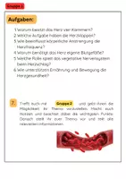 Vorschau - Arbeitsblätter - Blutkreislauf Gruppenarbeit: Herz, Lunge, Körper, Blutgefäße - Seite 2