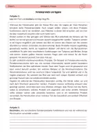 Vorschau - Arbeitsblätter - Periodenprodukte - Deckblatt