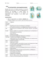 Vorschau - Arbeitsblätter - Einen Tagesbericht eines Altenpflegers verfassen DIFF 3 - Seite 3