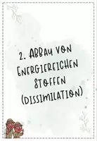 Vorschau - Präsentationen/Tafelbilder - Stoffwechselphysiologie II + III: Zellatmung, Gärung, Enzyme | Biologie 13 | Hefteinträge - Seite 3