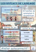 Aperçu - Cartes d'exercices - Jeu d'associations niveaux de langage - Page de couverture