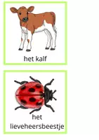 Voorbeeld - Beebot Lente - Pagina 3