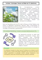 Vorschau - Arbeitsblätter - CO₂-Speicherung: Klimaschutz, CCS, Treibhausgase - Seite 2