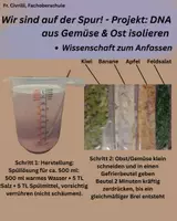 Vorschau - Arbeitsblätter - Ein komplettes Experiment zur DNA-Isolierung - Deckblatt
