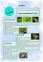 Vorschau - Text - Lesekartei Froscharten, deutsche Frösche, Frosch #edukiknaller2021 - Deckblatt