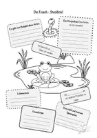 Vorschau - Arbeitsblätter - Frosch Steckbrief Arbeitsblatt mit Lösungen - Deckblatt