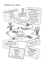 Vorschau - Arbeitsblätter - Frosch Steckbrief Arbeitsblatt mit Lösungen - Seite 1