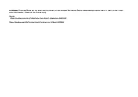 Vorschau - Spiele - Froschpuzzle - Seite 3