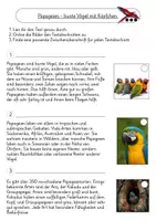 Vorschau - Arbeitsblätter - Sachtext Papagei Lesestrategie Zwischenüberschriften - Seite 1