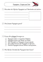 Vorschau - Arbeitsblätter - Sachtext Papagei Lesestrategie Zwischenüberschriften - Seite 3