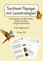 Vorschau - Arbeitsblätter - Sachtext Papagei Lesestrategie Zwischenüberschriften - Deckblatt