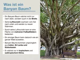 Vorschau - Stundenentwürfe - KUNST Schritt für Schritt: Banyan-Tree (Ölpastellmalerei) - Seite 2