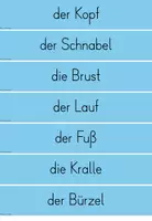 Vorschau - Arbeitsblätter - Körperbau von Vögeln Winter - Seite 2