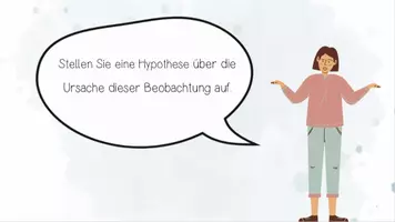 Vorschau - Unterrichtsreihen - Stoffwechselphysiologie I, II + III: Fotosynthese, Zellatmung, Gärungen, Enzyme | Biologie 13 | komplette Unterrichtsreihe XXL Paket | sofort einsetzbar - Seite 2