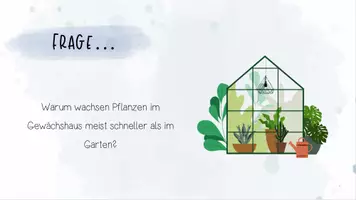 Vorschau - Unterrichtsreihen - Stoffwechselphysiologie I: Einfluss von Außenfaktoren auf die Fotosyntheserate | Biologie 13 | 3 fertige Unterrichtsstunden | sofort einsetzbar - Seite 1