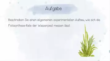 Vorschau - Unterrichtsreihen - Stoffwechselphysiologie I: Einfluss von Außenfaktoren auf die Fotosyntheserate | Biologie 13 | 3 fertige Unterrichtsstunden | sofort einsetzbar - Seite 3