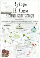 Vorschau - Unterrichtsreihen - Stoffwechselphysiologie I: Fotosynthese als Assmiliationsprozess, Fotosynthesefarbstoffe | Biologie 13 | 3 fertige Unterrichtsstunden | sofort einsetzbar - Deckblatt