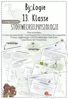 Vorschau - Unterrichtsreihen - Stoffwechselphysiologie I: Fotosynthese als zweigeteilter Prozess, lichtabhängige und lichtunabhängige Reaktion | Biologie 13 | 4 fertige Unterrichtsstunden | sofort einsetzbar - Deckblatt