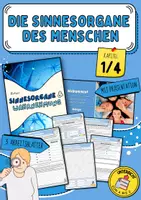 Vorschau - Arbeitsblätter - Die Sinnesorgane des Menschen (Adäquater Reiz / vom Reiz zur Wahrnehmung / Sinne / Versuche zur Wahrnehmung / Biologie) - Deckblatt