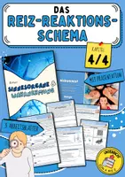 Vorschau - Arbeitsblätter - Das Reiz-Reaktions-Schema (Vom Reiz zur Reaktion / Reflex vs. bewusste Wahrnehmung / Versuche: Kniesehnenreflex und Reaktionszeitmessung / Unterschied: Sehen und Wahrnehmung / Optische Täuschungen / Biologie / Sinnesorgane) - Deckblatt