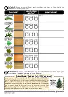 Vorschau - Arbeitsblätter - Der Rohstoff Holz (Kostenlos) - Seite 3