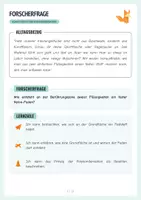 Vorschau - Arbeitsblätter - Experiment, Kunststoffe – Nylon - Protokoll + Arbeitsblätter - Seite 3