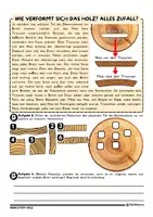 Vorschau - Arbeitsblätter - Holz verändert sich: Schwinden und Quellen - Seite 3
