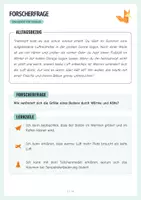 Vorschau - Arbeitsblätter - Experiment, Gase – Zauber-Ballon - Protokoll + Arbeitsblätter - Seite 3