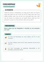 Vorschau - Arbeitsblätter - Dichte von Flüssigkeiten - Warum Öl schwimmt - Experiment und Arbeitsblätter - Seite 3