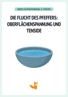 Vorschau - Arbeitsblätter - Experiment Oberflächenspannung Tenside - Protokoll + Arbeitsblätter - Deckblatt