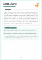 Vorschau - Arbeitsblätter - Experiment, Indikatoren - Protokoll + Arbeitsblätter - Seite 1