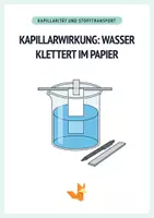 Vorschau - Arbeitsblätter - Experiment, Kapillarwirkung – Wasser klettert - Protokoll + AB - Deckblatt