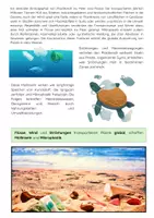 Vorschau - Arbeitsblätter - Wege des Plastiks ins Meer: Mikroplastik & Meeresverschmutzung - Seite 2