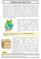 Vorschau - Arbeitsblätter - Plastikmüll im Meer Materialpaket: Folgen für Tiere, Entstehung & Mikroplastik - Seite 2