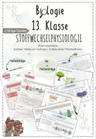 Vorschau - Unterrichtsreihen - Stoffwechselphysiologie II: Zellatmung - Aerober Abbau von Glukose | Biologie 13 | 2 fertige Unterrichtsstunden | sofort einsetzbar - Deckblatt