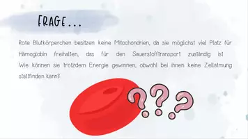Vorschau - Unterrichtsreihen - Stoffwechselphysiologie II: Gärungen - Anaerober Abbau von Glukose | Biologie 13 | fertige Unterrichtsstunde | sofort einsetzbar - Seite 1