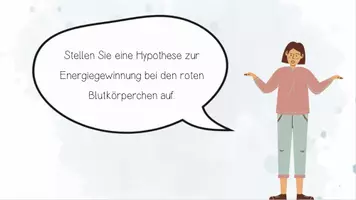 Vorschau - Unterrichtsreihen - Stoffwechselphysiologie II: Gärungen - Anaerober Abbau von Glukose | Biologie 13 | fertige Unterrichtsstunde | sofort einsetzbar - Seite 2