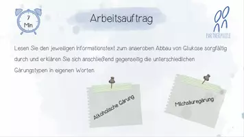Vorschau - Unterrichtsreihen - Stoffwechselphysiologie II: Gärungen - Anaerober Abbau von Glukose | Biologie 13 | fertige Unterrichtsstunde | sofort einsetzbar - Seite 3
