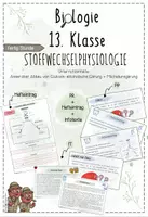 Vorschau - Unterrichtsreihen - Stoffwechselphysiologie II: Gärungen - Anaerober Abbau von Glukose | Biologie 13 | fertige Unterrichtsstunde | sofort einsetzbar - Deckblatt