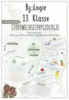 Vorschau - Unterrichtsreihen - Stoffwechselphysiologie III: Enzyme, Regulation des Stoffwechsels | Biologie 13 | 2 fertige Unterrichtsstunden | sofort einsetzbar - Deckblatt