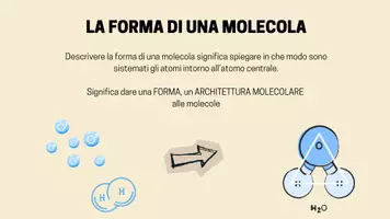 anteprima - Schede informative - La forma delle molecole - Pagina 2