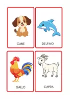 anteprima - Flashcard - 30 animali comuni: flash cards e associazioni - Pagina 3