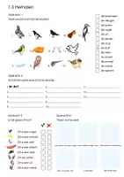 Voorbeeld - Basiswoordenschat Vogels en andere dieren - Pagina 3